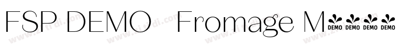 FSP DEMO   Fromage M字体转换